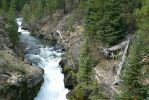 PICTURES/Tumalo Falls/t_River6.JPG